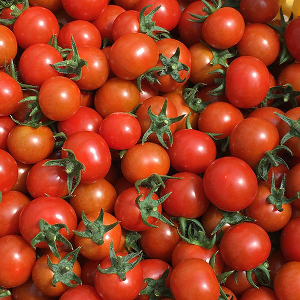 190408tomato.jpg
