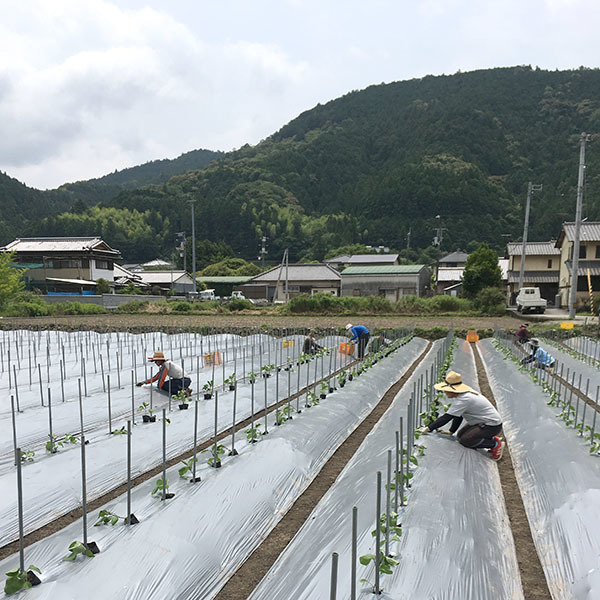 190610nasu03.jpg
