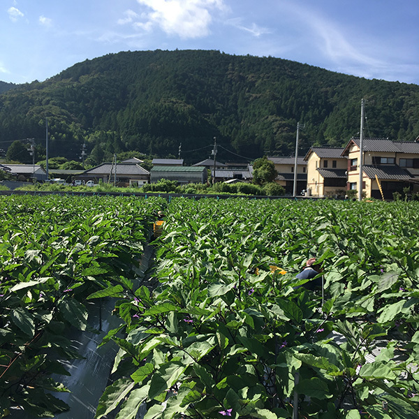 190729nasu06.jpg