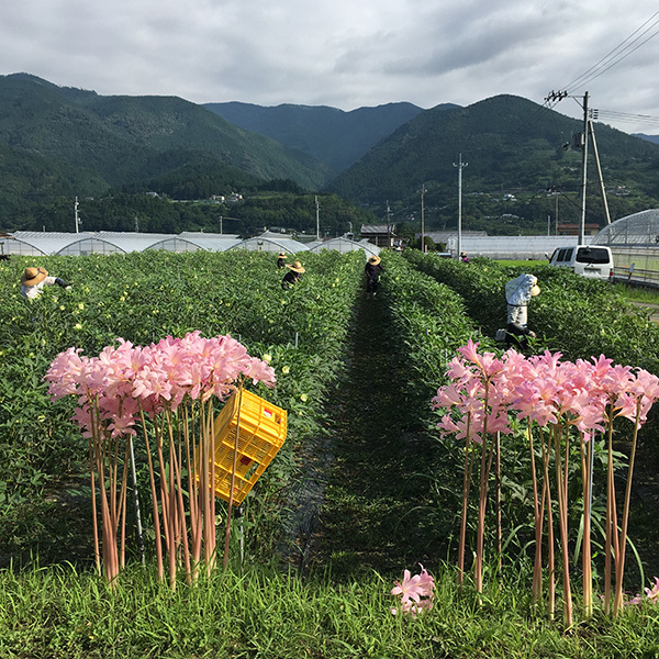 190729okura01.jpg