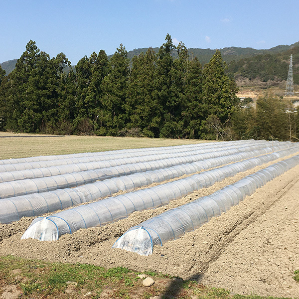 200323okura01.jpg