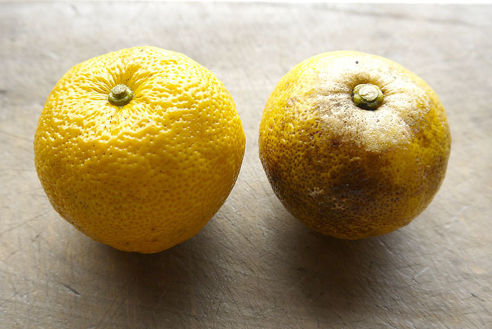 2017yuzu_af01.jpg