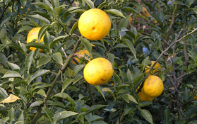 y08_02.jpg