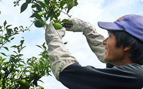 y08_03.jpg